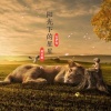 焰灵姬、白伊雪 - 口是心非