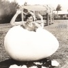 Grammelot - First Layer