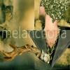 Melancholia - Pospiesz się