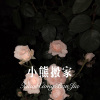 小姐姐 - 小熊搬家 (Remix)