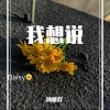 一只小西柚 - 我想说