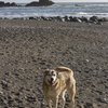Tele、The Good Boys - Wrinkles; on Highway 1 East