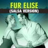 Fur Elise、Latino Party、Cuban Salsa All Stars - Fur Elise (Salsa Version)