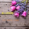 常送送、孔德威吖、Kishan - Alvaro Soler