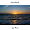 Paul Harrison - Sleep