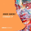 junior sanchez《Strong Enough (Radio Edit)》[MP3/LRC]