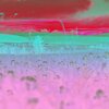 Michael Kennedy、Fruit Blooming、Aloe Vera Coast、A List Tracks - Rocky River