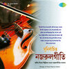 Nilmoni Sinha - Shyamsundar Giridhari