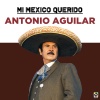 Antonio Aguilar《Un Puño De Tierra》[MP3/LRC]