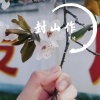 梦皓 - 封山作