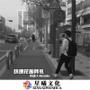 沈7 - 洗 脑神曲 (DJ版)