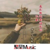 精彩丁先森 - 我曾一度幻想过