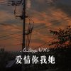 DJ六大大 - 爱情你我她 (Remix)