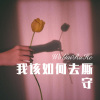 DJ胖虎 - 我该如何去厮守 (Remix)