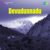 Vani Jairam - Sharanu Neeve