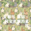 DJ Mr.Zi - 女驸马 洞房·民女名叫冯素珍 (Remix)