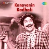 Bhanumathi Ramakrishna、Ghantasala - Veiyilketra Nizhalundu