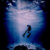 Michael Kennedy、Breathe Flow、Aloe Eternal、Tonic Pitch - Malawi Fall