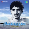 K.J. Yesudas, Chorus - Panjara Manliol