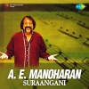 R. Krishnaraj - Suraangani (Remix)