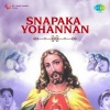 P. Leela - Akasathin Mahimave