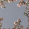 袁小葳 - Wonderful u