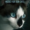Cat Music、Music For Cats、Cats Music Zone - A Path Is Made by Walking on It