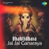 Padmaja Phenany Joglekar - Sukhkarta Duthharta
