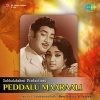 p. susheela、S.P.Balasubrahmanyam - Yemani Vraayanu