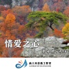 天阳、高士其 - 好运正在奔你而来