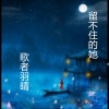 歌者羽晴 - 留不住的她