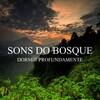 Dormir Profundamente - Sons do Bosque, Pt. 01