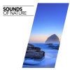 Sounds Of Nature - Deep Sleep Rain Sounds (Original Mix)