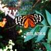 Kelaska - Fly