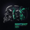numbernin6、Torqux、Twist (UK) - Sentient (Original Mix)