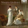 Stefano Cardi、Enrico Casularo - VIII. Allegretto