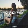 Sebastian Schalk - Missing You (Summer Mix)