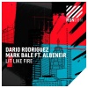 Dario Rodriguez、Mark Bale、Albeneir - Lit Like Fire
