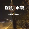 李银河 - 醒着醉