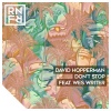 David Hopperman、Wes Writer - Don't Stop