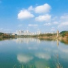 自若然 - 寻梦观山湖