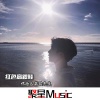嘉琪先生、张思佳、祁念 - 硬曲必行
