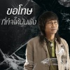 เสถียร ทำมือ - ขอโทษที่ทำให้มันพัง