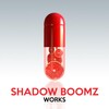 Shadow Boomz - Brutal Music (Original Mix)
