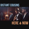 Distant Cousins、Lindsey Ray - Here & Now (Acoustic)