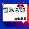 DJ小星星 - 爱的太满物极必反
