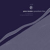 Petar Dundov - Synesthetic Flow