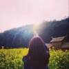 虞姬、苏可可、MC李可、杜姐 - 一首小电给你压压惊