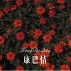 六小月 - 康巴情 (Remix)