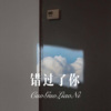 浪子.. - 错过了你 (Remix)